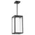 Outdoor Modern Pendant Light with sleek design, frosted shade, and clear fluted glass exterior. 3 dimmable LED light sources. Perfect for covered patio.