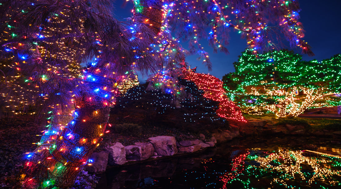 Christmas lights decorate beautiful park and pond at night