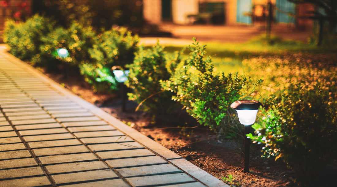 Flowerbed of courtyard being illuminated by solar landscape lights