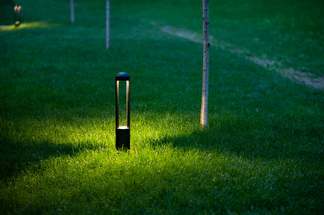 LED landscape lighting illuminating backyard with trees