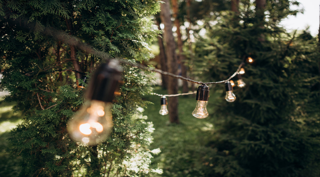 LED string lights hanging in outdoor garden between trees