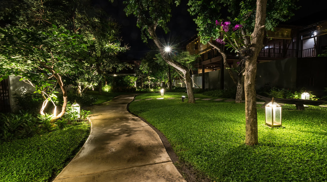 MR light bulbs used in low voltage landscape spot lights to illuminate trees along abstract walkway located in garden