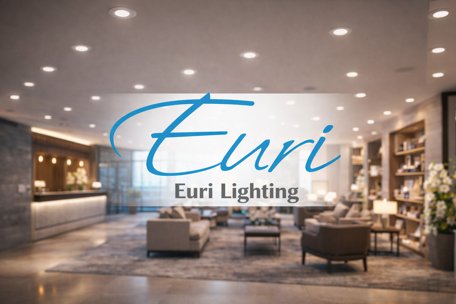 Euri Lighting LED recessed downlights and LED bulbs used in a modern hotel and retail lighting environment