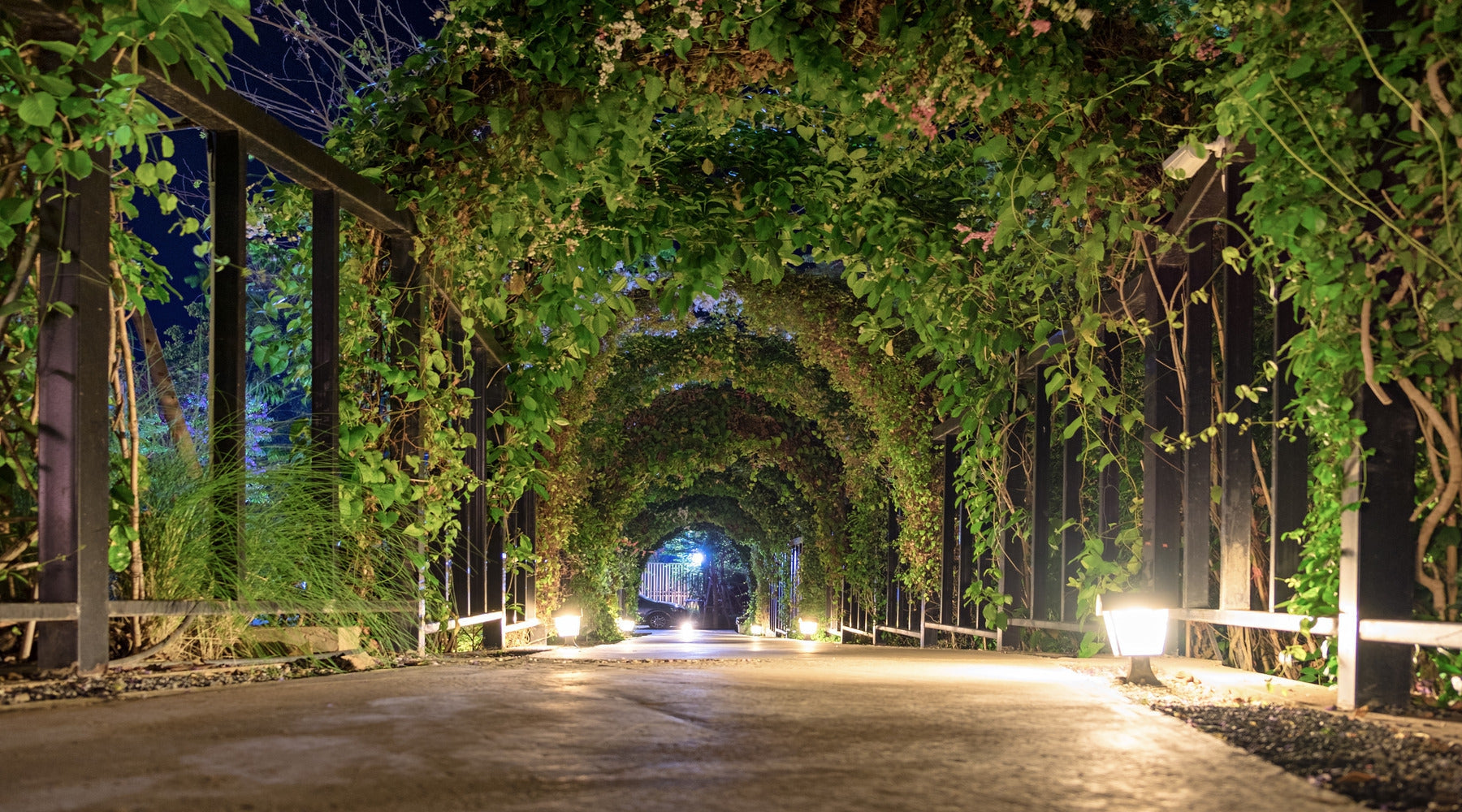Path Lighting