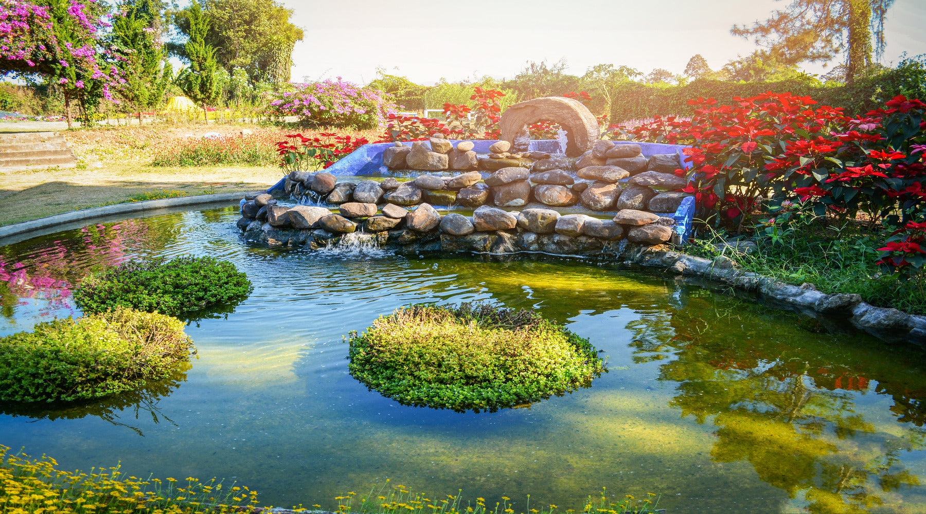 Pond Lighting