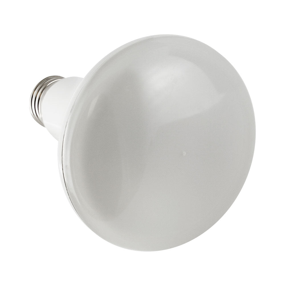 A BR30 LED bulb with a silver base, delivering 850 lumens of brightness. Ideal for ambient lighting or general-purpose applications.