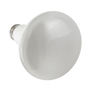 BR30 LED Bulb