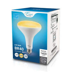 BR40 LED Bulb