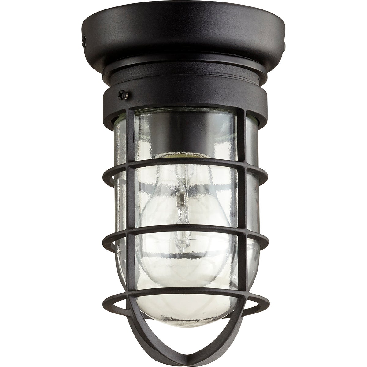 Coastal outdoor ceiling light with clear glass shade and cage enclosure, perfect for coastal and rustic outdoor settings. Adds exceptional style and welcoming light to home exteriors. Install on porch, deck, or balcony for eye-catching illumination. Quorum International brand. 60W, 120V, UL Listed, wet location safety rating. Dimensions: 4.5&quot;W x 8.25&quot;H. 2-year warranty.