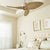 Contemporary Ceiling Fan in a bedroom with wooden blades, a white curtain, framed pictures, and a gold lamp on the wall.