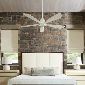 Contemporary Ceiling Fan with Light