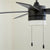 A black ceiling fan with a light fixture, designed for efficient air circulation. Five-blade system with monochrome finish on housing, motor, and blades. Translucent lighting shade adds elegance. 52" sweep for cooling comfort. Quorum International Mid Century Modern Ceiling Fan.