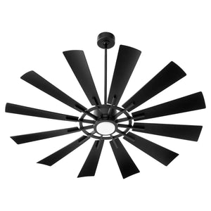 Outdoor Ceiling Fan with Light