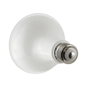 PAR30 LED Bulb
