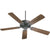 Traditional Ceiling Fan with Wood Blades, a classic design that complements wooden items in your rooms. 5 rounded-edged blades held by a simple stylistic structure. Perfect for both commercial and residential spaces.