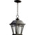 Traditional Outdoor Hanging Light