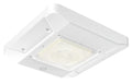 FuelLite Series LED gas station canopy light main product view showing commercial fueling canopy luminaire housing