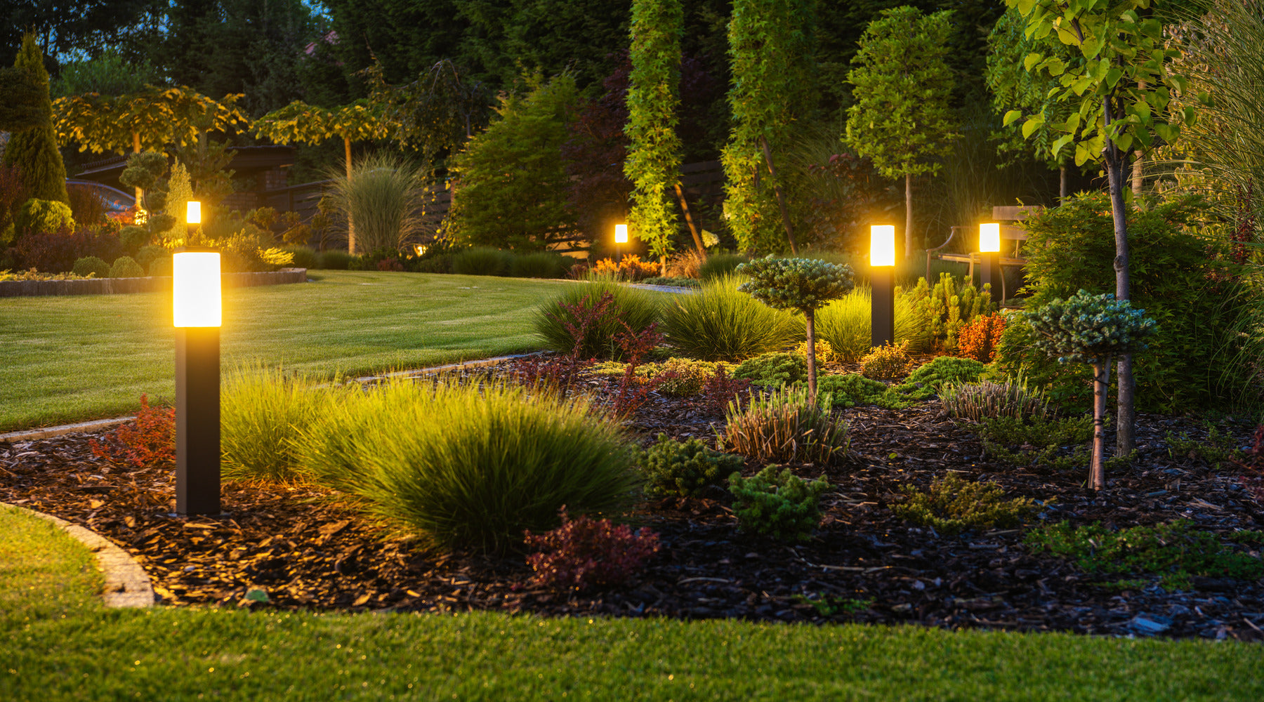 Modern backyard with outdoor LED landscape lighting