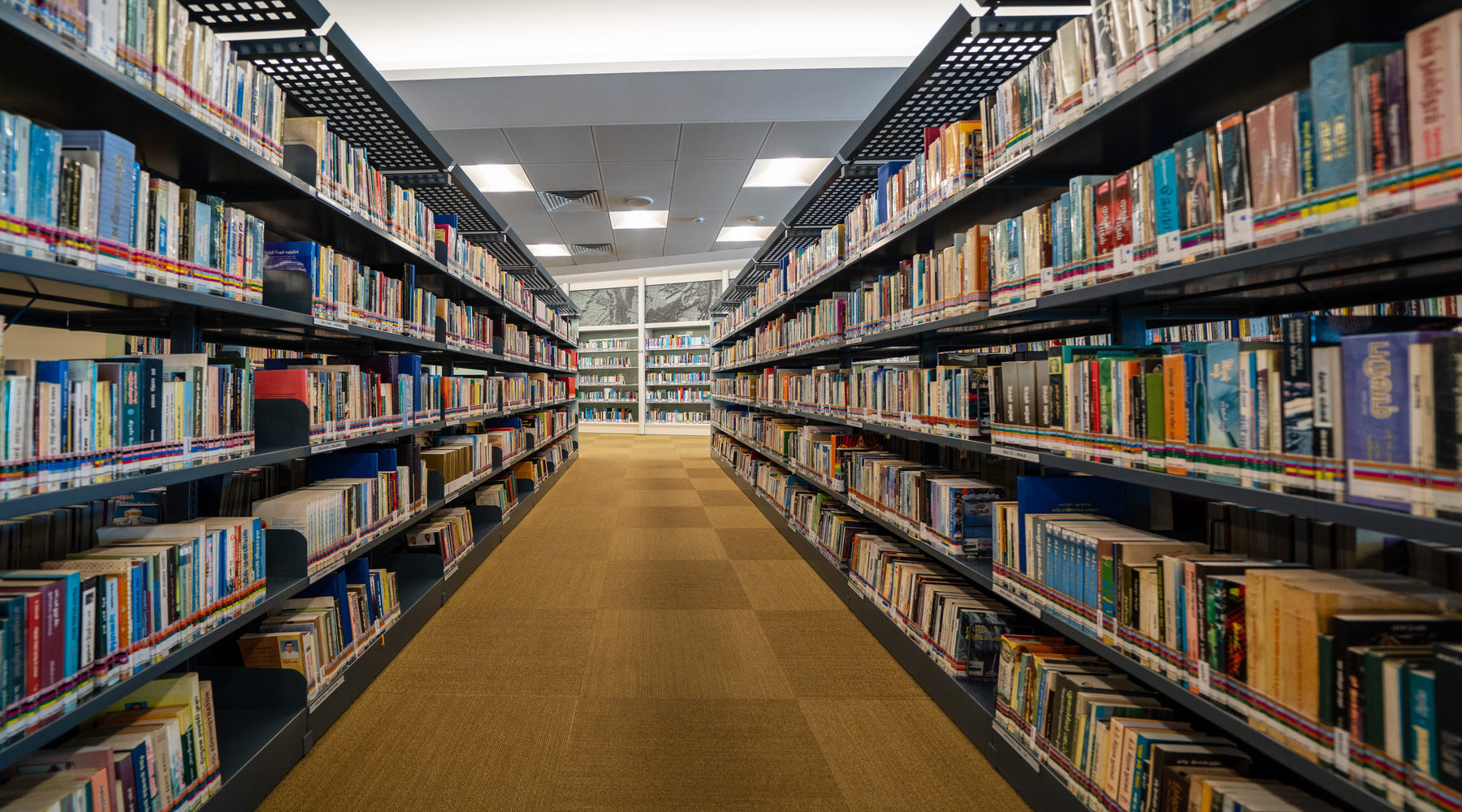 T5 LED bulbs used in drop ceiling lights in library